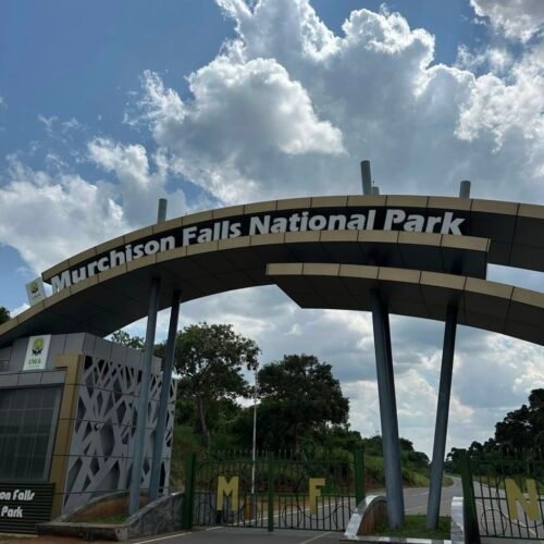 murchison falls national park entrance